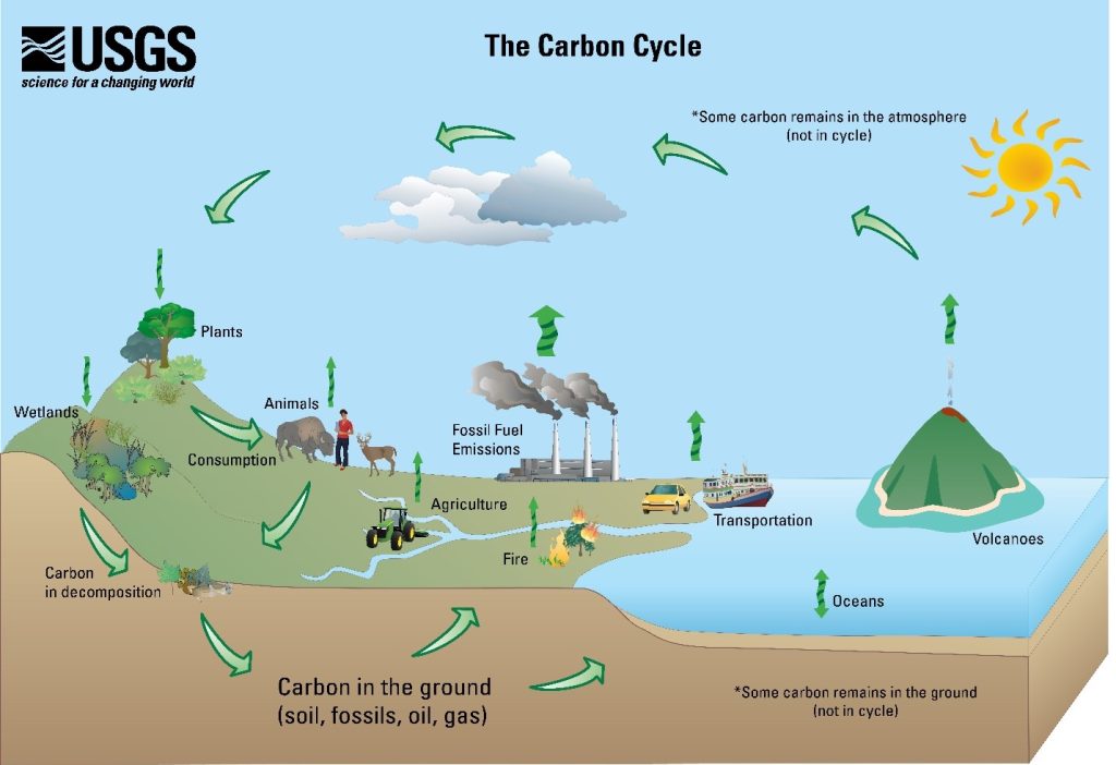 Too much of a good thing? The six sides of Carbon and our future.